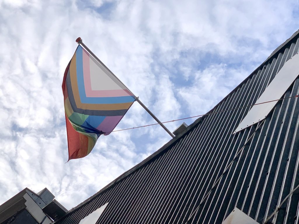 Progress Pride flag hanging above the entrance to The Web