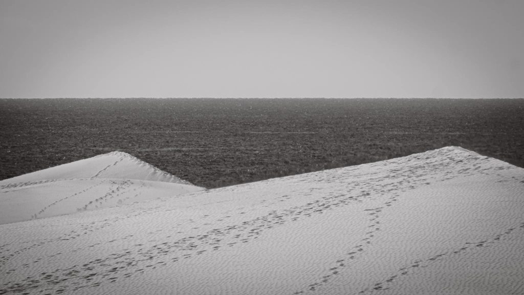 Black and white photo of Maspalomas Dunes with scattered footprints in the sand. The ocean is visible in the background.