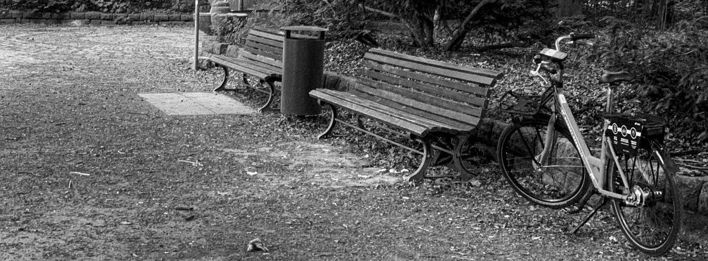 A black and white photo of a wooden park bench in Tiergarten park in Berlin